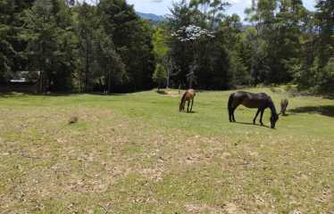 Lote en venta cerca del aeropuerto – Rionegro