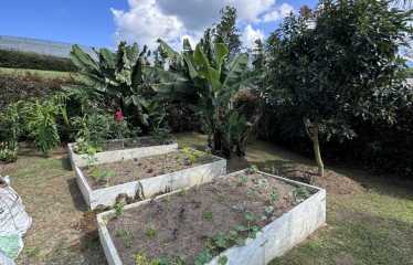 Lote en venta en Montecapiro – La Ceja