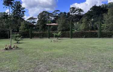 Lote en venta en Montecapiro – La Ceja