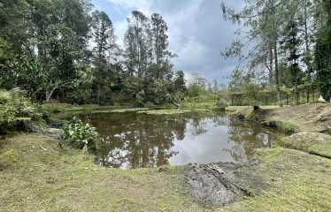 Finca en venta sector Pantanillo en El Retiro