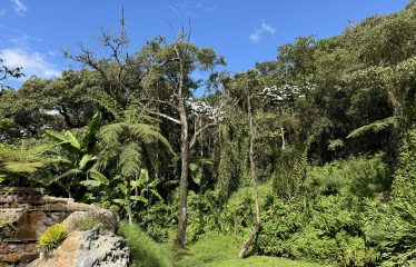 CASA CAMPESTRE PARCELACIÓN LA MARÍA – EL RETIRO