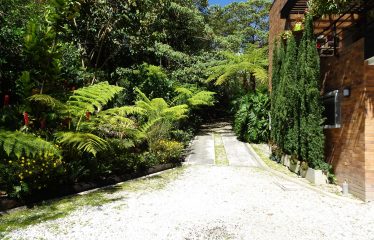 CASA FINCA LLANOGRANDE – RIONEGRO